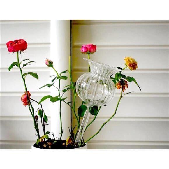 Plant Waterer Self Watering Globes Self Watering Spikes, Hand Blown Clear Glass - Picture 3 of 7